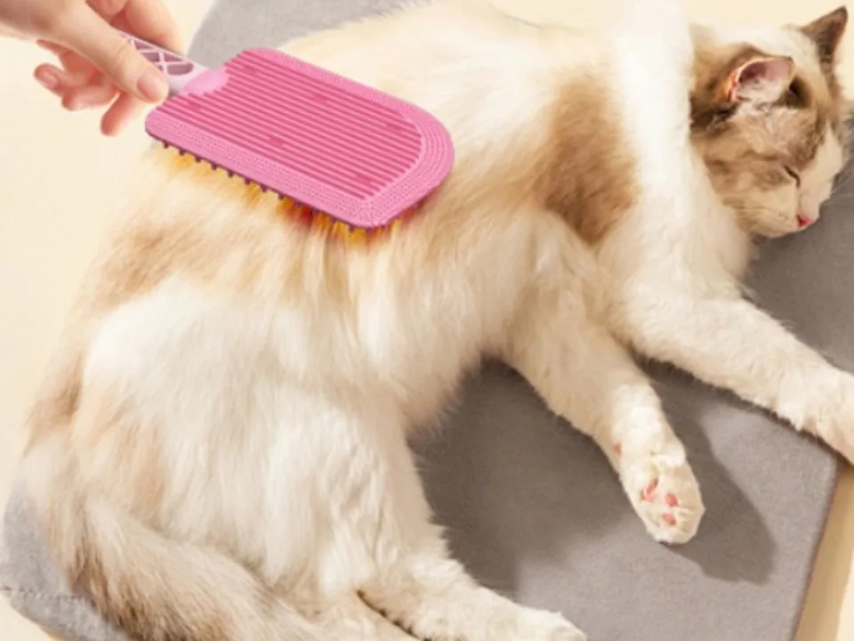 Grooming and hygiene collection
