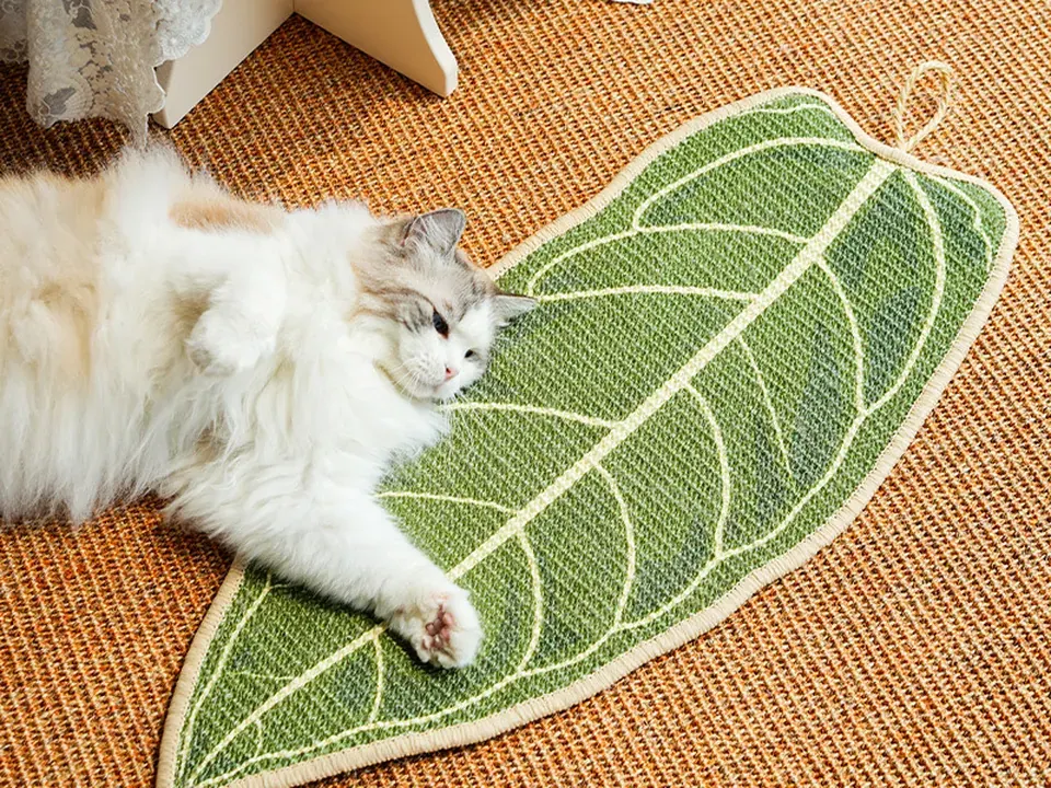 Cat furniture and scratchers collection