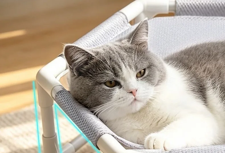 Cat resting on an elevated pet bed in a calm home setting